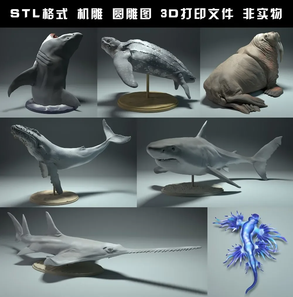 สัตว์, หมีขั้วโลก, Takin, หมาป - 3D Printing Rabbit บทวิจารณ์และราคา